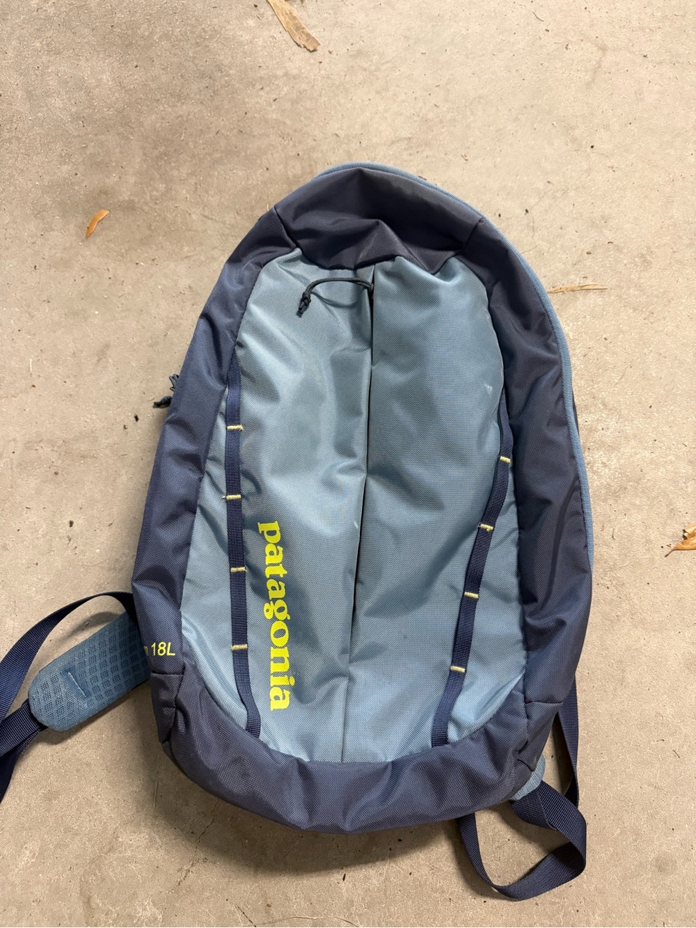 Patagonia Blue and Navy 18L Daypack with Lime Logo
